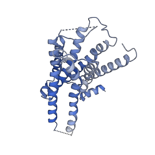 31156_7ej8_R_v1-1
Structure of the alpha2A-adrenergic receptor GoA signaling complex bound to brimonidine