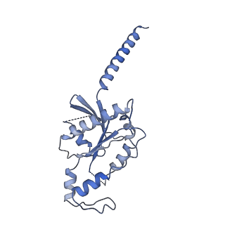 31157_7eja_A_v1-2
Structure of the alpha2A-adrenergic receptor GoA signaling complex bound to dexmedetomidine