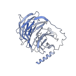 31157_7eja_B_v1-2
Structure of the alpha2A-adrenergic receptor GoA signaling complex bound to dexmedetomidine