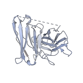 31157_7eja_H_v1-2
Structure of the alpha2A-adrenergic receptor GoA signaling complex bound to dexmedetomidine