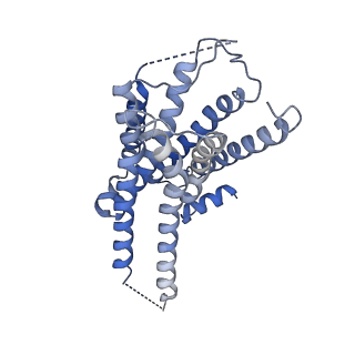 31157_7eja_R_v1-2
Structure of the alpha2A-adrenergic receptor GoA signaling complex bound to dexmedetomidine