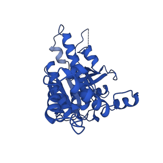 31158_7ejc_B_v1-1
human RAD51 presynaptic complex