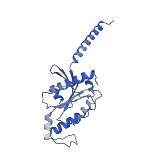 31162_7ejk_A_v1-1
Structure of the alpha2A-adrenergic receptor GoA signaling complex bound to oxymetazoline