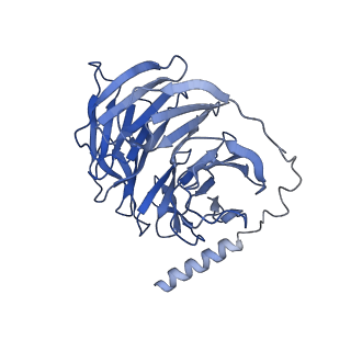 31162_7ejk_B_v1-1
Structure of the alpha2A-adrenergic receptor GoA signaling complex bound to oxymetazoline