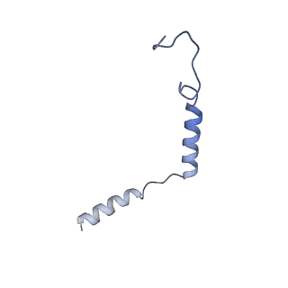 31162_7ejk_G_v1-1
Structure of the alpha2A-adrenergic receptor GoA signaling complex bound to oxymetazoline