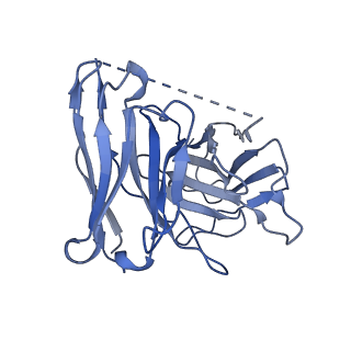 31162_7ejk_H_v1-1
Structure of the alpha2A-adrenergic receptor GoA signaling complex bound to oxymetazoline