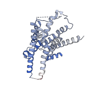 31162_7ejk_R_v1-1
Structure of the alpha2A-adrenergic receptor GoA signaling complex bound to oxymetazoline