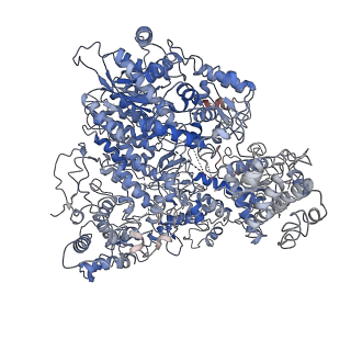 31163_7eju_A_v1-1
Junin virus(JUNV) RNA polymerase L complexed with Z protein