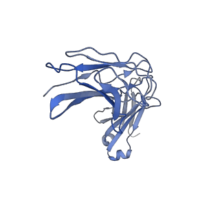 28192_8ek1_D_v1-1
Cryo-EM structure of a potent anti-malarial antibody L9 in complex with Plasmodium falciparum circumsporozoite protein (PfCSP)(dominant class)