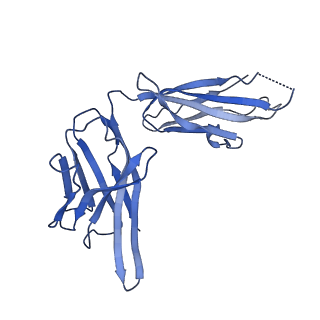 28192_8ek1_H_v1-1
Cryo-EM structure of a potent anti-malarial antibody L9 in complex with Plasmodium falciparum circumsporozoite protein (PfCSP)(dominant class)