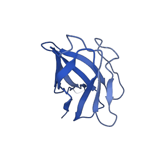 28196_8eka_A_v1-1
Cryo-EM structure of a potent anti-malarial antibody L9 in complex with Plasmodium falciparum circumsporozoite protein (PfCSP)(class 2)