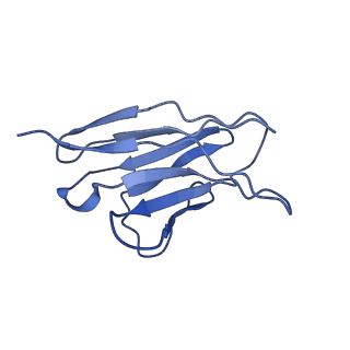 28196_8eka_B_v1-1
Cryo-EM structure of a potent anti-malarial antibody L9 in complex with Plasmodium falciparum circumsporozoite protein (PfCSP)(class 2)