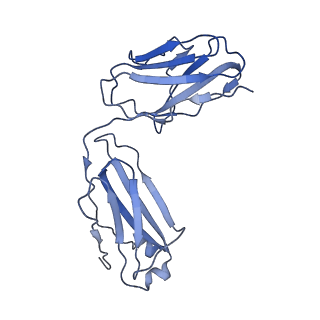 28196_8eka_L_v1-1
Cryo-EM structure of a potent anti-malarial antibody L9 in complex with Plasmodium falciparum circumsporozoite protein (PfCSP)(class 2)