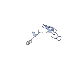 28197_8ekc_3_v1-2
Escherichia coli 70S ribosome bound to thermorubin, deacylated P-site tRNAfMet and aminoacylated A-site Phe-tRNA