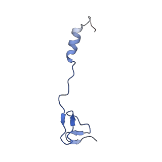 28197_8ekc_4_v1-2
Escherichia coli 70S ribosome bound to thermorubin, deacylated P-site tRNAfMet and aminoacylated A-site Phe-tRNA
