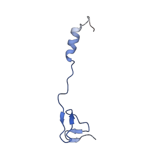 28197_8ekc_4_v2-0
Escherichia coli 70S ribosome bound to thermorubin, deacylated P-site tRNAfMet and aminoacylated A-site Phe-tRNA