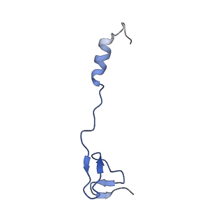 28197_8ekc_4_v3-0
Escherichia coli 70S ribosome bound to thermorubin, deacylated P-site tRNAfMet and aminoacylated A-site Phe-tRNA