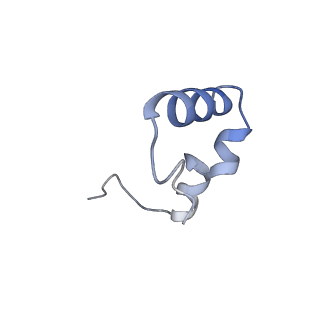 28197_8ekc_6_v1-2
Escherichia coli 70S ribosome bound to thermorubin, deacylated P-site tRNAfMet and aminoacylated A-site Phe-tRNA