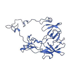 28197_8ekc_C_v1-2
Escherichia coli 70S ribosome bound to thermorubin, deacylated P-site tRNAfMet and aminoacylated A-site Phe-tRNA
