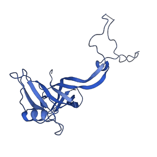 28197_8ekc_D_v1-2
Escherichia coli 70S ribosome bound to thermorubin, deacylated P-site tRNAfMet and aminoacylated A-site Phe-tRNA