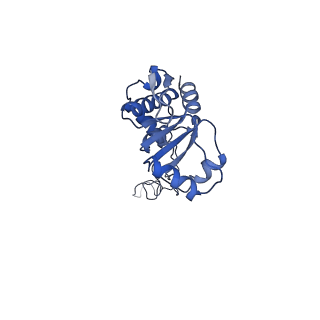 28197_8ekc_E_v1-2
Escherichia coli 70S ribosome bound to thermorubin, deacylated P-site tRNAfMet and aminoacylated A-site Phe-tRNA