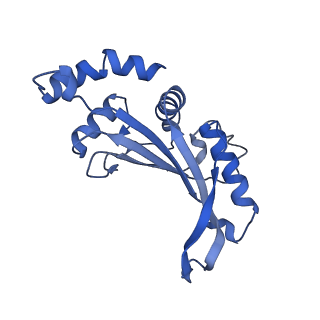 28197_8ekc_F_v1-2
Escherichia coli 70S ribosome bound to thermorubin, deacylated P-site tRNAfMet and aminoacylated A-site Phe-tRNA