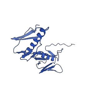 28197_8ekc_G_v1-2
Escherichia coli 70S ribosome bound to thermorubin, deacylated P-site tRNAfMet and aminoacylated A-site Phe-tRNA