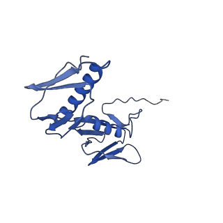 28197_8ekc_G_v2-0
Escherichia coli 70S ribosome bound to thermorubin, deacylated P-site tRNAfMet and aminoacylated A-site Phe-tRNA