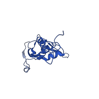 28197_8ekc_L_v1-2
Escherichia coli 70S ribosome bound to thermorubin, deacylated P-site tRNAfMet and aminoacylated A-site Phe-tRNA
