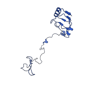 28197_8ekc_N_v1-2
Escherichia coli 70S ribosome bound to thermorubin, deacylated P-site tRNAfMet and aminoacylated A-site Phe-tRNA