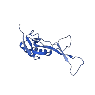 28197_8ekc_O_v1-2
Escherichia coli 70S ribosome bound to thermorubin, deacylated P-site tRNAfMet and aminoacylated A-site Phe-tRNA