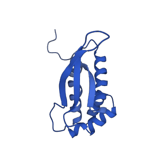 28197_8ekc_P_v1-2
Escherichia coli 70S ribosome bound to thermorubin, deacylated P-site tRNAfMet and aminoacylated A-site Phe-tRNA