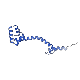 28197_8ekc_S_v1-2
Escherichia coli 70S ribosome bound to thermorubin, deacylated P-site tRNAfMet and aminoacylated A-site Phe-tRNA