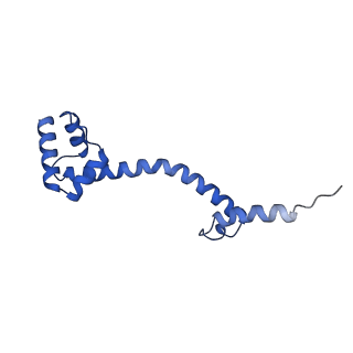 28197_8ekc_S_v2-0
Escherichia coli 70S ribosome bound to thermorubin, deacylated P-site tRNAfMet and aminoacylated A-site Phe-tRNA