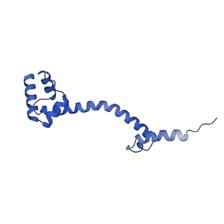 28197_8ekc_S_v3-0
Escherichia coli 70S ribosome bound to thermorubin, deacylated P-site tRNAfMet and aminoacylated A-site Phe-tRNA