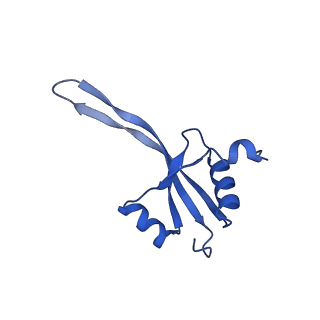 28197_8ekc_V_v1-2
Escherichia coli 70S ribosome bound to thermorubin, deacylated P-site tRNAfMet and aminoacylated A-site Phe-tRNA