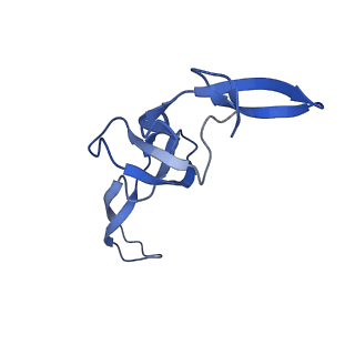 28197_8ekc_W_v1-2
Escherichia coli 70S ribosome bound to thermorubin, deacylated P-site tRNAfMet and aminoacylated A-site Phe-tRNA