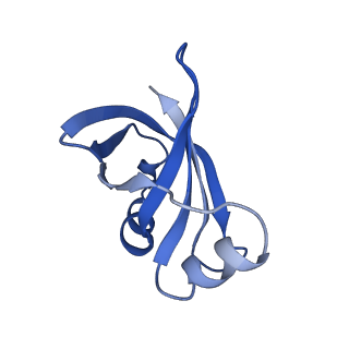 28197_8ekc_X_v1-2
Escherichia coli 70S ribosome bound to thermorubin, deacylated P-site tRNAfMet and aminoacylated A-site Phe-tRNA