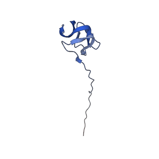 28197_8ekc_Y_v1-2
Escherichia coli 70S ribosome bound to thermorubin, deacylated P-site tRNAfMet and aminoacylated A-site Phe-tRNA