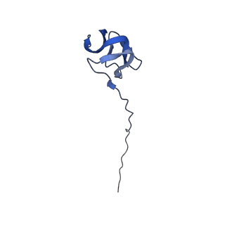 28197_8ekc_Y_v2-0
Escherichia coli 70S ribosome bound to thermorubin, deacylated P-site tRNAfMet and aminoacylated A-site Phe-tRNA