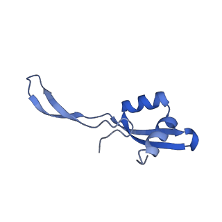 28197_8ekc_Z_v1-2
Escherichia coli 70S ribosome bound to thermorubin, deacylated P-site tRNAfMet and aminoacylated A-site Phe-tRNA