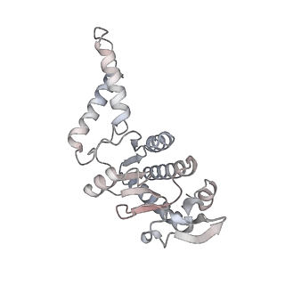 28197_8ekc_b_v1-2
Escherichia coli 70S ribosome bound to thermorubin, deacylated P-site tRNAfMet and aminoacylated A-site Phe-tRNA