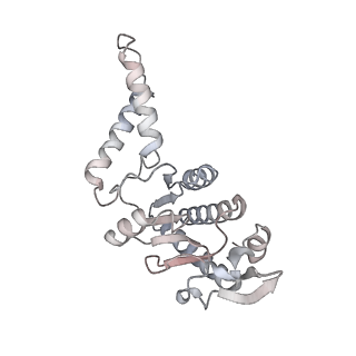 28197_8ekc_b_v3-0
Escherichia coli 70S ribosome bound to thermorubin, deacylated P-site tRNAfMet and aminoacylated A-site Phe-tRNA