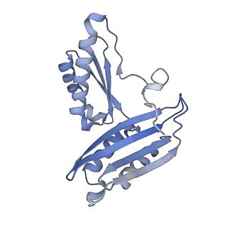 28197_8ekc_c_v1-2
Escherichia coli 70S ribosome bound to thermorubin, deacylated P-site tRNAfMet and aminoacylated A-site Phe-tRNA