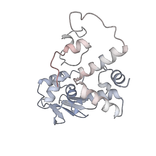28197_8ekc_d_v1-2
Escherichia coli 70S ribosome bound to thermorubin, deacylated P-site tRNAfMet and aminoacylated A-site Phe-tRNA
