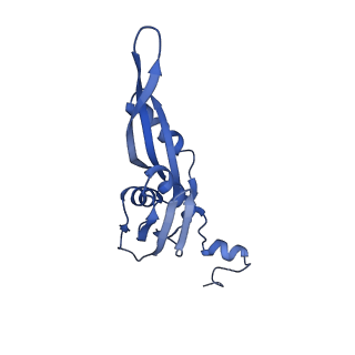 28197_8ekc_e_v1-2
Escherichia coli 70S ribosome bound to thermorubin, deacylated P-site tRNAfMet and aminoacylated A-site Phe-tRNA