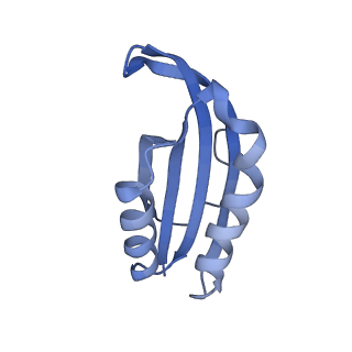 28197_8ekc_f_v1-2
Escherichia coli 70S ribosome bound to thermorubin, deacylated P-site tRNAfMet and aminoacylated A-site Phe-tRNA