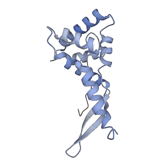 28197_8ekc_g_v1-2
Escherichia coli 70S ribosome bound to thermorubin, deacylated P-site tRNAfMet and aminoacylated A-site Phe-tRNA