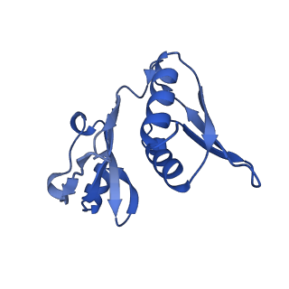 28197_8ekc_h_v1-2
Escherichia coli 70S ribosome bound to thermorubin, deacylated P-site tRNAfMet and aminoacylated A-site Phe-tRNA