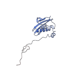 28197_8ekc_i_v1-2
Escherichia coli 70S ribosome bound to thermorubin, deacylated P-site tRNAfMet and aminoacylated A-site Phe-tRNA